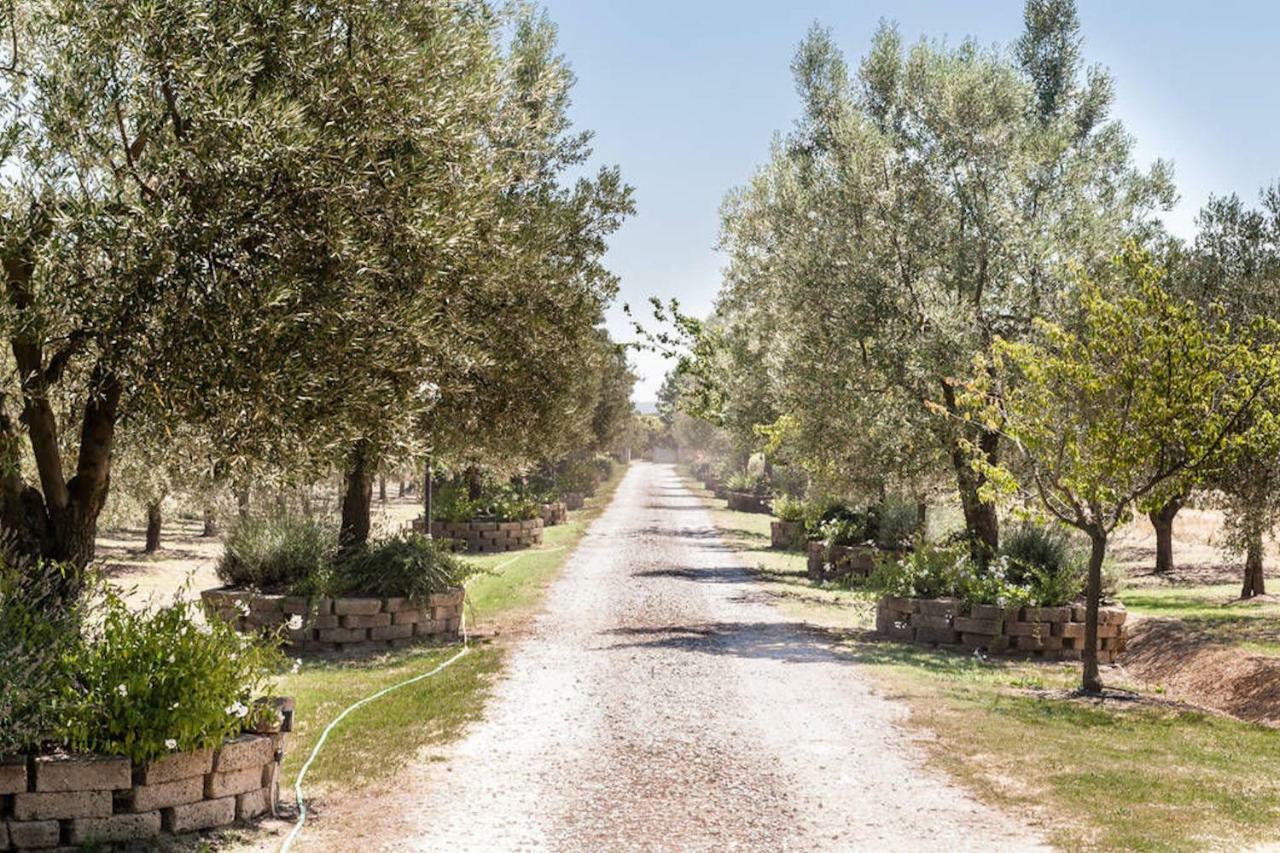 Vicopisano Under The Tuscan Sun المظهر الخارجي الصورة