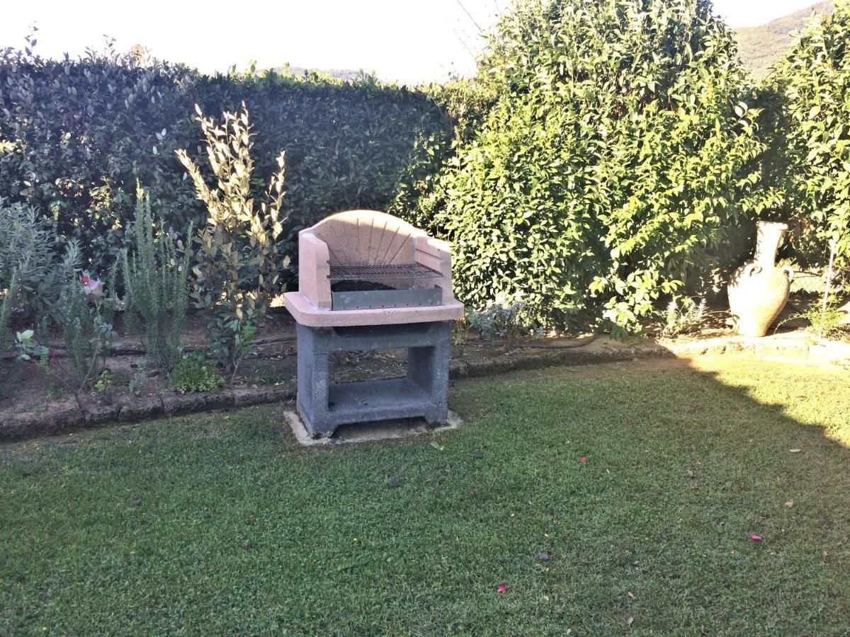 Vicopisano Under The Tuscan Sun المظهر الخارجي الصورة